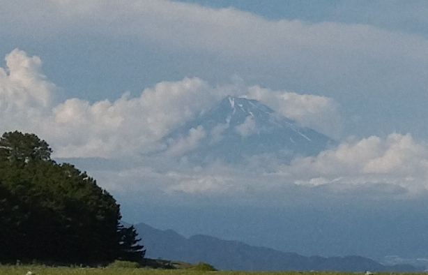 富士山＠三保の松原.png